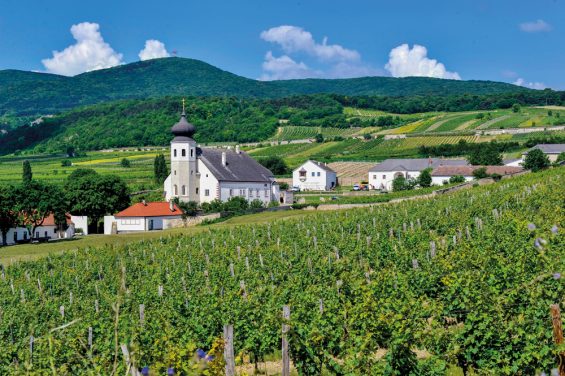 Geheimtipps für Alpen- und Weinfans