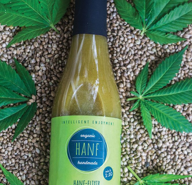 Gewinne je 1x Ginger Elixir Curcuma Elixir