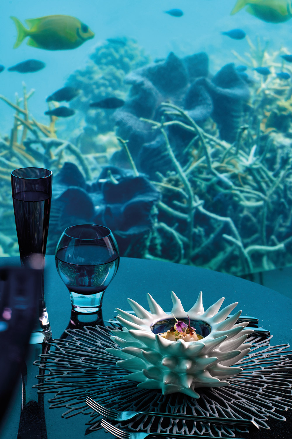 Scallop-Ceviche-Amuse---Bouche-©-Niyama-Private-Islands